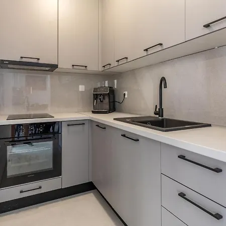 Apartment Lovely In With Kitchen Duboka