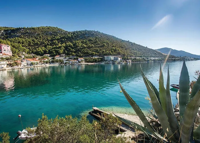 Lovely In With Wifi *